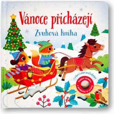 Imagen del producto de Svojtka & Co. Nnoce zej - Hö rbuch