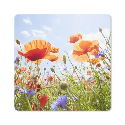 Produktbild von MuchoWow® Mauspad Mousepad Blumen - Mohn - Frühling - Natur - Rot - Blau 20x20 cm - Mousepads - Maus Mat - Pad - Mausunterlage - Desk Mat - Bureauartikeln