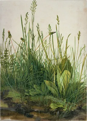 Produktbild von Leinwandbild Blumen Floral 70 x 50 cm - Wandbild Grün Beige - Keilrahmen Gräser Wohnzimmerdeko Wanddeko Wandgemälde
