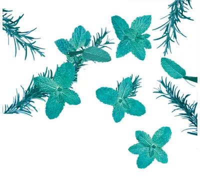 Immagine prodotto di Kneipp Schiuma Doccia Schiuma