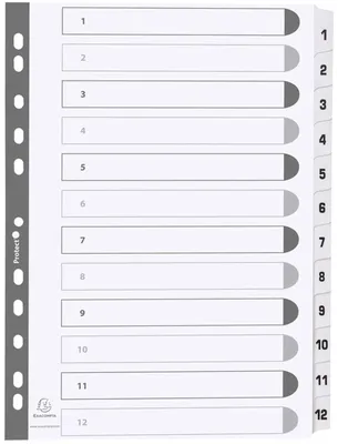 Produktbild von EXACOMPTA Karton-Register 1-12 DIN A4 weiß 12-teilig