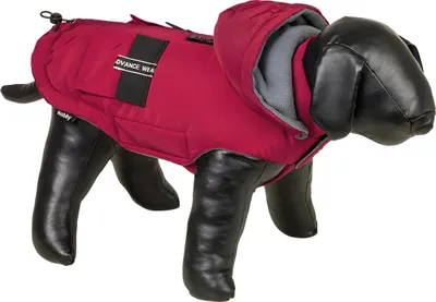 Produktbild von Nobby Hundemantel Canta bordeaux, Größe: 32 cm
