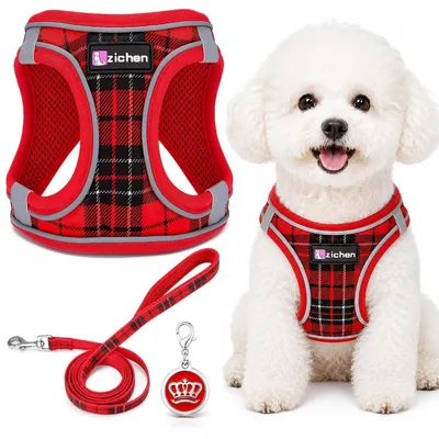 Immagine prodotto di Imbracatura per cani con guinzaglio, colore rosso, taglia S, per cani di piccola taglia