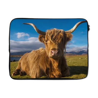 Produktbild von MuchoWow® Laptop Hülle 17 Zoll Laptoptasche Schottische Highlander - Tiere - Gras - Zipper - Schutzabdeckung