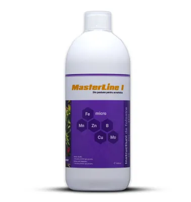 Immagine prodotto di MasterLine I (1000 ml)