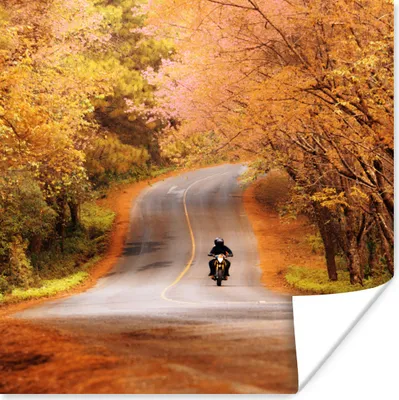 Produktbild von MuchoWow® Poster Motorrad - Straße - Herbst 75x75 cm - Wand Dekoration