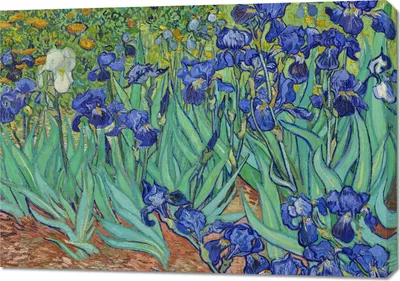 Image de Tableau 100 x 70 cm Iris, Van Gogh Vintage pour le salon