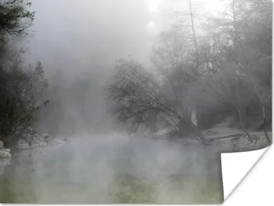 Produktbild von MuchoWow® Poster Nebel - Wald - Spanien 120x90 cm - Wandbild