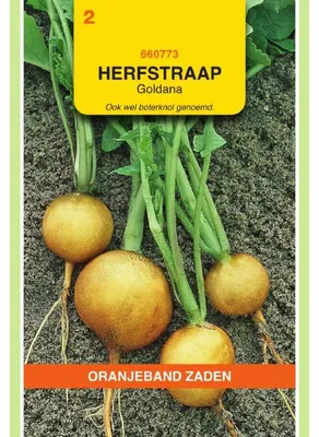 Imagen del producto de Oranjeband Mairüben Goldana - 1 paquete de semillas