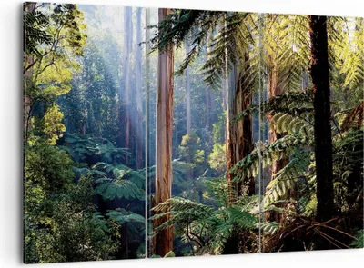 Produktbild von Bild auf Leinwand - Leinwandbild - 3 Teile - Morgendämmerung Bäume Wald - 105x70cm - Wand Bild - Wanddeko - Wandbilder - Leinwanddruck - Bilder - Wanddekoration - Leinwand bilder - CE105x70-4403