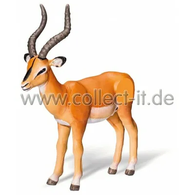 Produktbild von Ravensburger Antilope, 4 Jahr(e), tiptoi: Africa, Grau, Orange