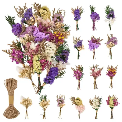 15 Mini-Trockenblumen, natürliches Trockensträußchen, Dekoration