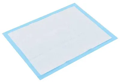 Produktbild von Hygienematten für Hunde - Welpen Trainingspads - 200 Stück - 60 x 45 cm - Saugstarkes Vlies - Blau