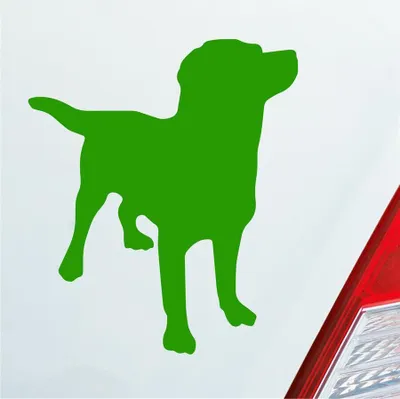 Produktbild von Auto Aufkleber Labrador Labbi Retriever Dog Hund Dog Tier 10x12 cm Hellgrün Sticker Heckscheibenaufkleber