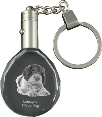Obrázok produktu pre Art-Dog Kľúčenka – Lagotto romagnolo – oválny tvar