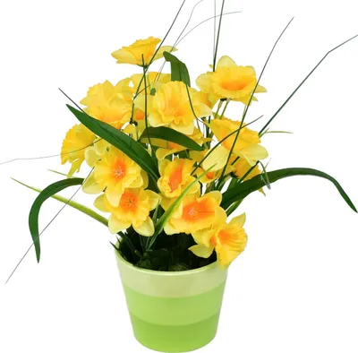 Immagine prodotto di Narcisi in vaso di Vetroceramica 30×25 cm