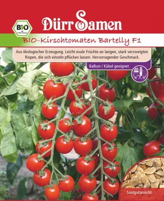 Produktbild von Kirschtomate Bartelly F1 | -Kirschtomatensamen von Dürr Samen [MHD 12/2024]