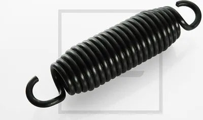 Image de Ressort P P Daf F95 5X38X15