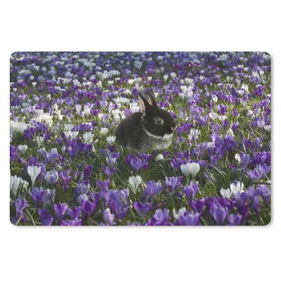 Produktbild von MuchoWow® Schreibtischunterlage Kaninchen - Blumenfeld - Lila 60x40 cm - XXL Mauspad - Großes Mauspad