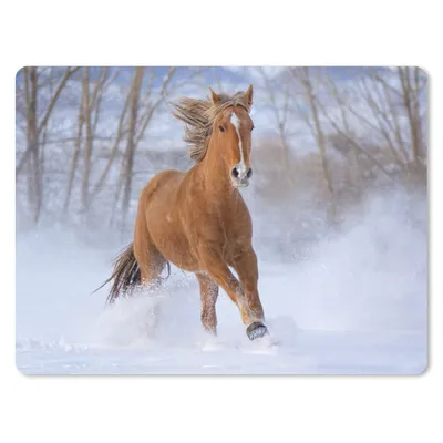 Produktbild von MuchoWow® Mauspad Mousepad Pferd - Schnee - Braun 23x19 cm - Mousepads - Maus Mat - Pad - Mausunterlage - Schreibtischunterlage - Mauspad