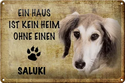 Produktbild von Blechschild Spruch 30x20cm Saluki Hund ohne kein Heim