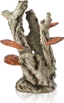 Produktbild von biOrb Pilzborke Ornament (48363)