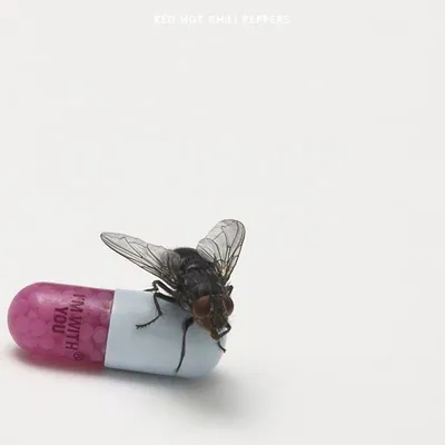 Zdjęcie produktu dla Red Hot Chili Peppers: I'm With You