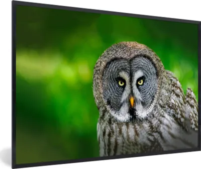Produktbild von MuchoWow® Gerahmtes Poster Vogel - Eule - Tiere - Braun - Porträt 90x60 cm - Poster mit Schwarzem Bilderrahmen Wandposter Rahmen Foto Bilder - Fotorahmen - Foto-Plakat