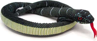 A plush toy snake on a white background.