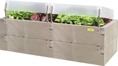 A raised garden bed filled with lettuce and radicchio, with clear plastic covers.