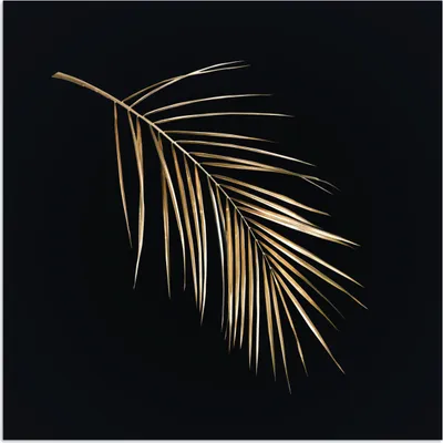 Produktbild von MuchoWow® Poster Pflanzen - Gold - Schwarz - Blätter - Luxus 50x50 cm - Wohnzimmerdekoration