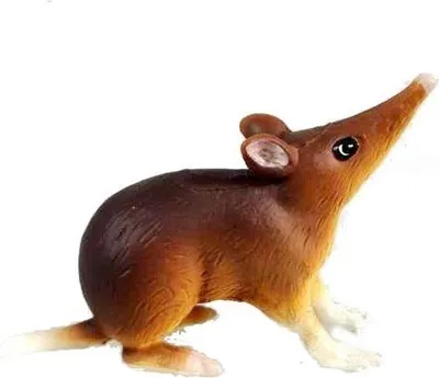 Image de A - Figurine Souris Bércoun Somali 6 cm