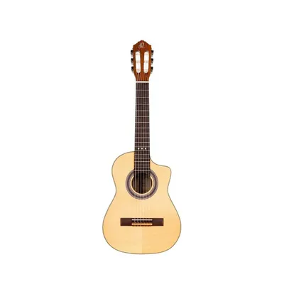 Produktbild von Ortega RQ38