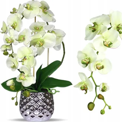 Produktbild von Blumengesteck Orchideengesteck Tischgesteck Tischdeko Orchidee Kunstblume Deko Blume Künstlich; Grün