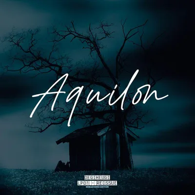 Immagine prodotto di Degiheugi: Aquilon LP01 (ristampa) (rimasterizzato) (edizione limitata) (vinile colorato) - X Ray - (LP / A)