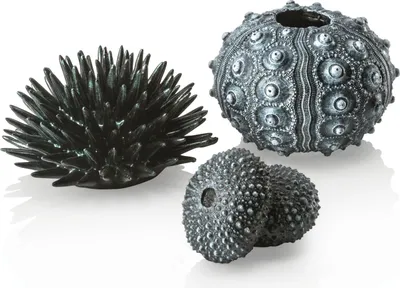 Produktbild von biOrb Seeigel Set schwarz (48365)