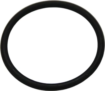 Image de Aprilia Joint torique, 21.95x1.78 mm, AP9150357