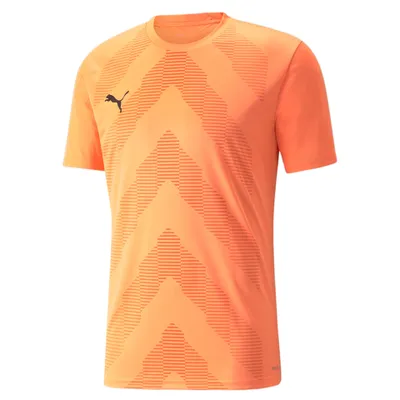 Image de Puma Teamglory Jersey 70501721 Herren
