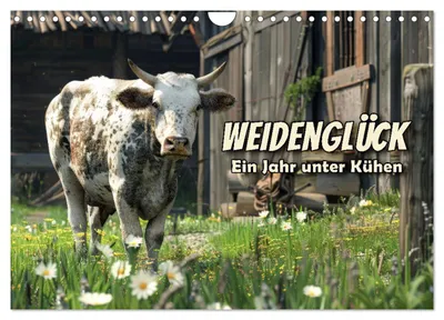 Produktbild von Weidenglück: Ein Jahr unter Kühen (Wandkalender 2027 DIN A4 quer), CALVENDO Monatskalender