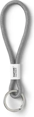 A gray keychain with a white tag and a silver ring, isolated on a white background.
