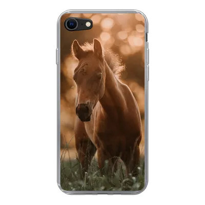 Produktbild von MuchoWow® Handyhülle Schutzhülle Hülle für iPhone 8 Pferd - Licht - Landschaft Silikon Softcase Handy Hülle - Schutzhaube