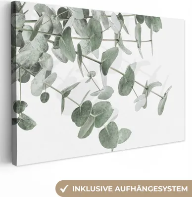 Obrázok produktu pre MuchoWow® - Plátno - Eukalyptus - Listy - Príroda - Zelená, nástenná maľba, nástenné dekorácie obrazy obývacia izba, 60x40cm
