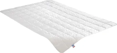 Produktbild von Irisette Steppbett Wasch-Seide - waschbar 40° C Größe 155x220cm