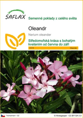 Obrázek produktu pro SAFLAX - oleandr - Nerium oleander - 50 Semena