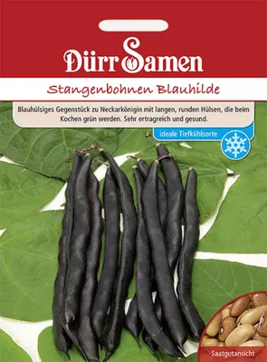 Produktbild von Dürr-Samen - Stangenbohnen Blauhilde - Saatgut - 0317