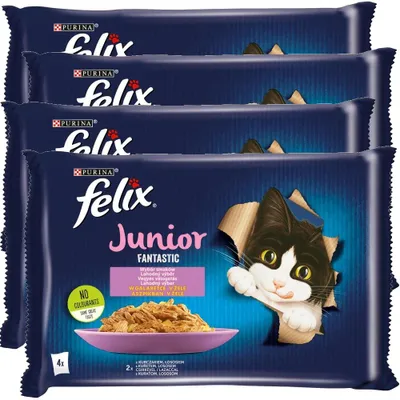 Zdjęcie produktu dla Felix Fantastic Junior Karma Dla Kociąt Wybór Smaków W Galaretce 4x340g (16x85g) Kurczak I Łosoś