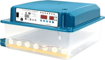 Obrázek produktu pro Inkubátor s LCD displejem S LED světlem na vejce Systém otáčení + regulace teploty Digitální inkubátor pro slepice husy kachny holuby křepelky 36 vajec Zelený