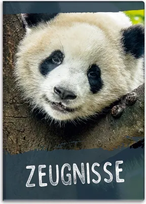 Obrázok produktu pre itenga Mapa na vysvedčenia s motívom PANDA  – DIN A4, polstrovaná väzba