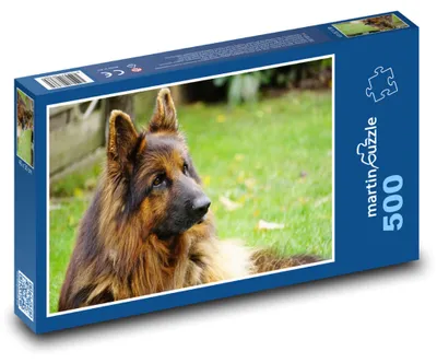 Produktbild von Puzzle 500 Edel Schäferhund - martinpuzzle