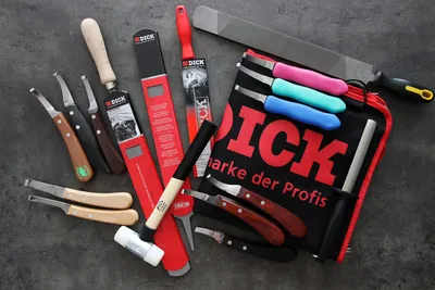 Obrázek produktu pro F.DICK Hufmesser ECONOMIC (Beidseitig-Lang-Schmal; Buche; Carbonstahl; 78mm)